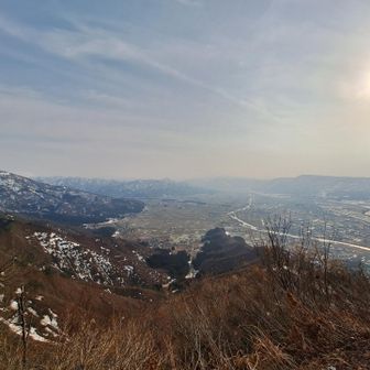 またまた解けまくり👀
1日の変化が凄い。