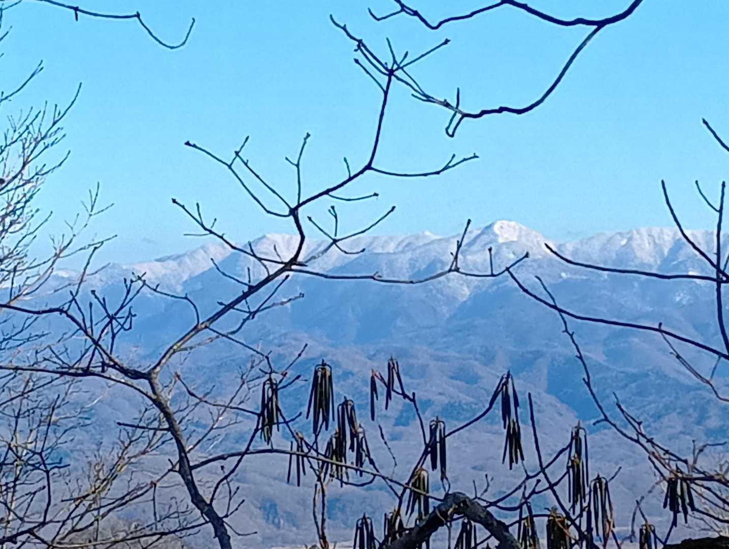賀張山 往復コースの写真