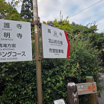 紅葉の有名なお寺が多いです。