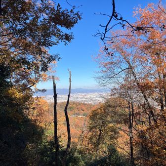 ピークハントスタート！