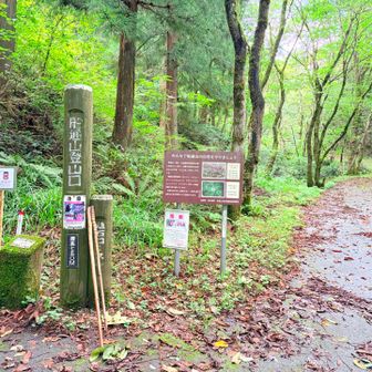亀石コースで降りましたのさ

船通山好きっす

おつかれ山です