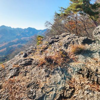 今回のランチは大岩でまったり