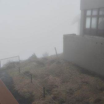 富士山と芦ノ湖はどこへ🤣