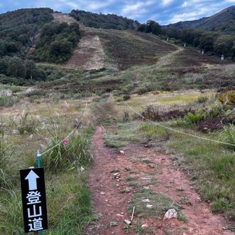 目指す苗場山は青空〜🙌