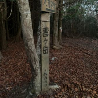 山頂　
宇佐神宮の奥宮、御許神社へと続いてまはし