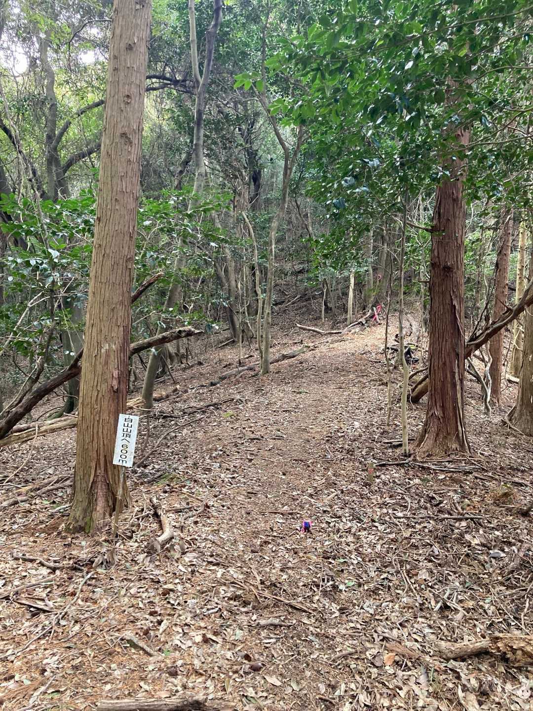200m間隔にある