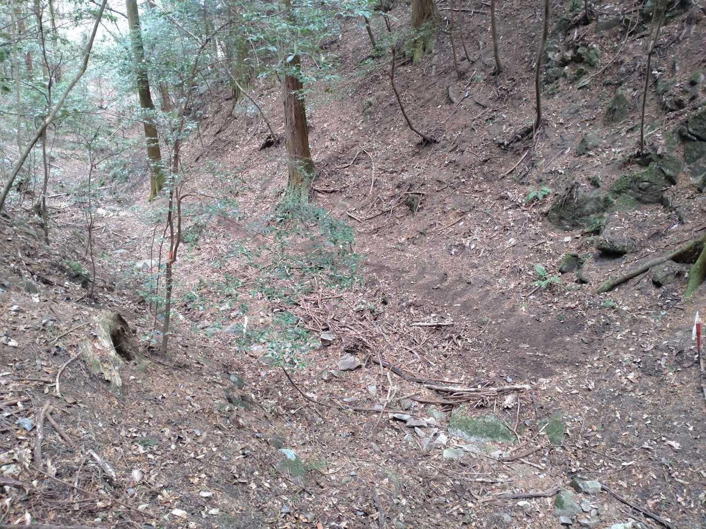 沢沿も掃きまくり