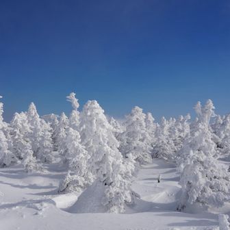 素晴らしい景色でした✨