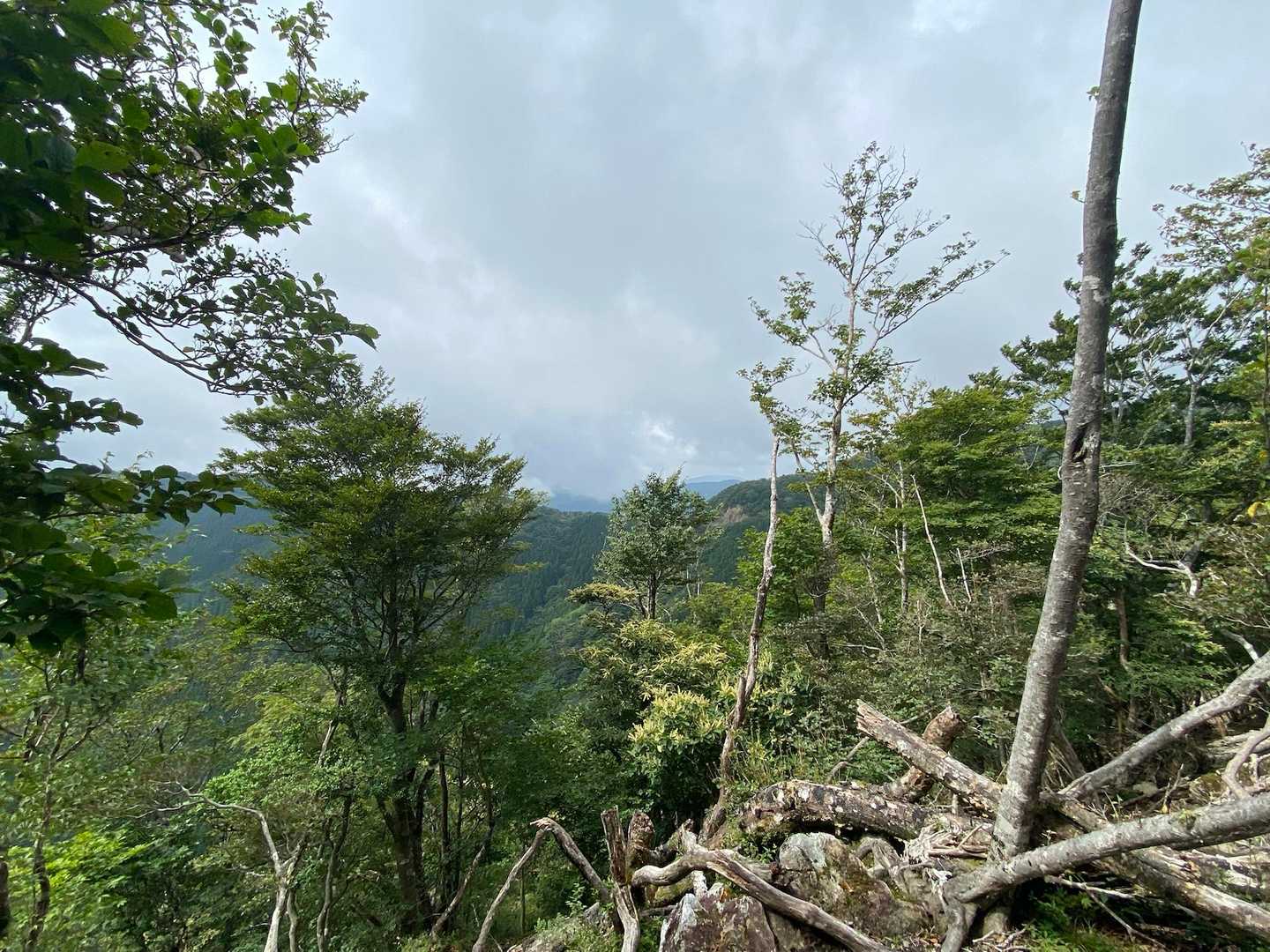 ええ景色が見える時もありました😄
