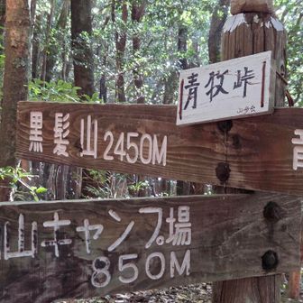 私は青牧峠から帰ります😅