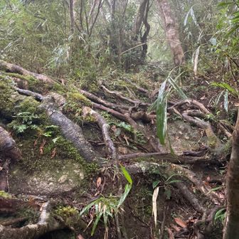 ガスの中、最後の頑張り💪