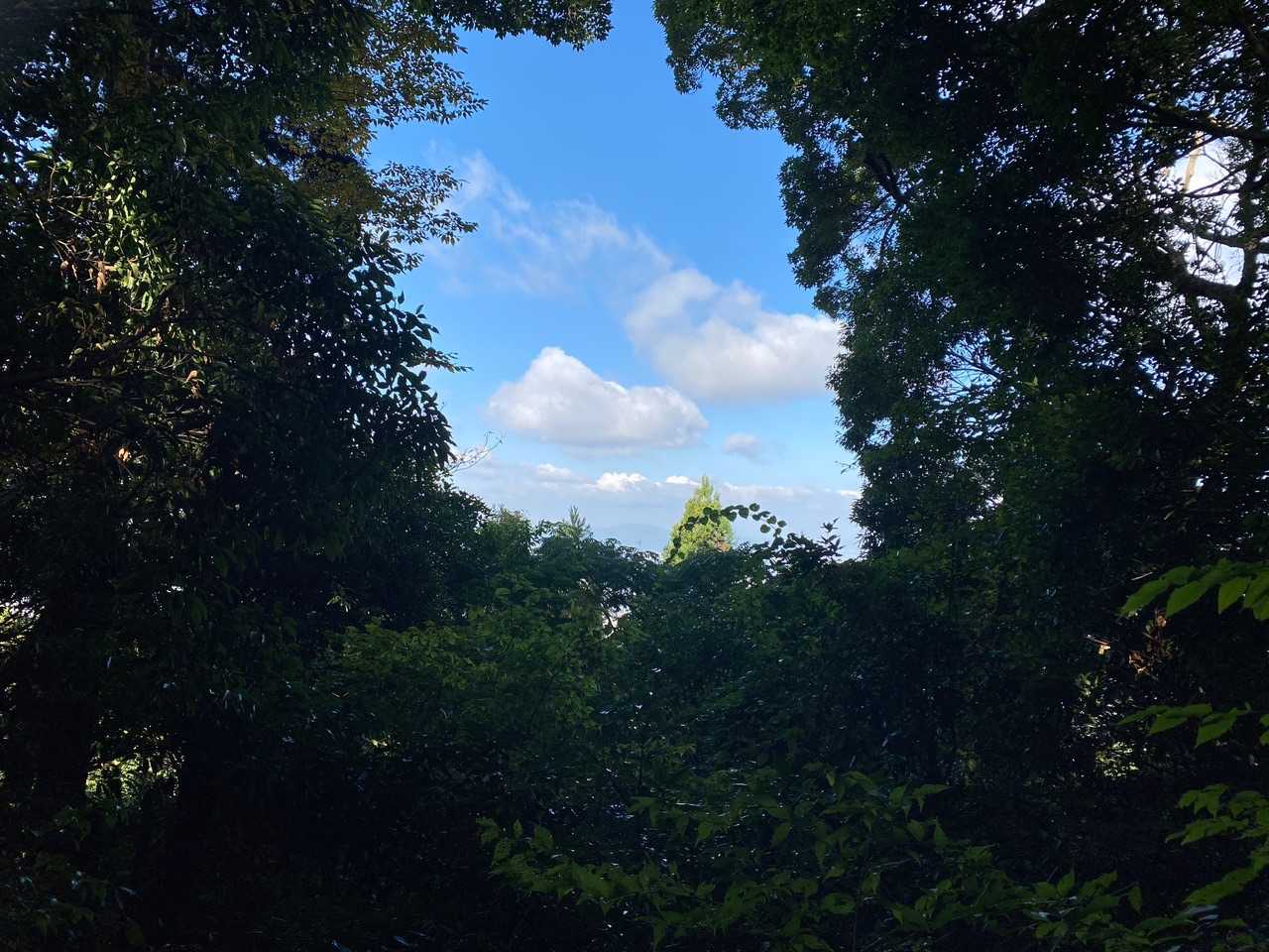 ………
辛うじて青空が見えました🤣🤣🤣
（昔は三輪山とか大和三山が見えたのかな〜👀）