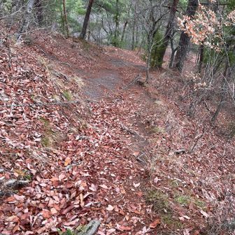 結構急です↘️