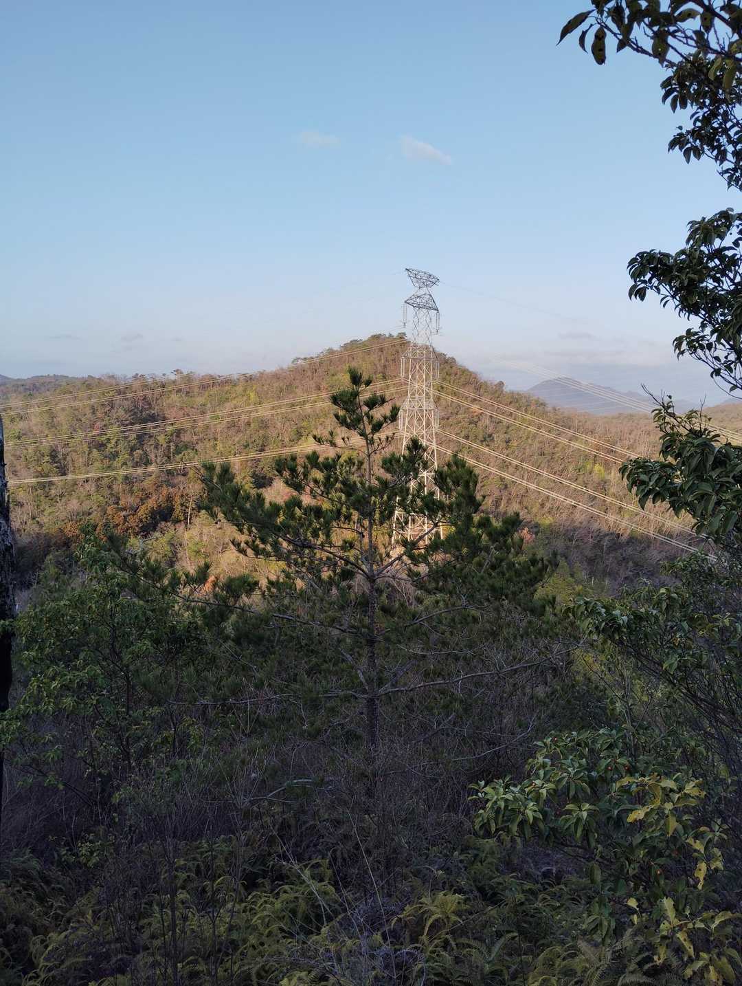 一本松山-鉄塔-大日山 周回コースの写真