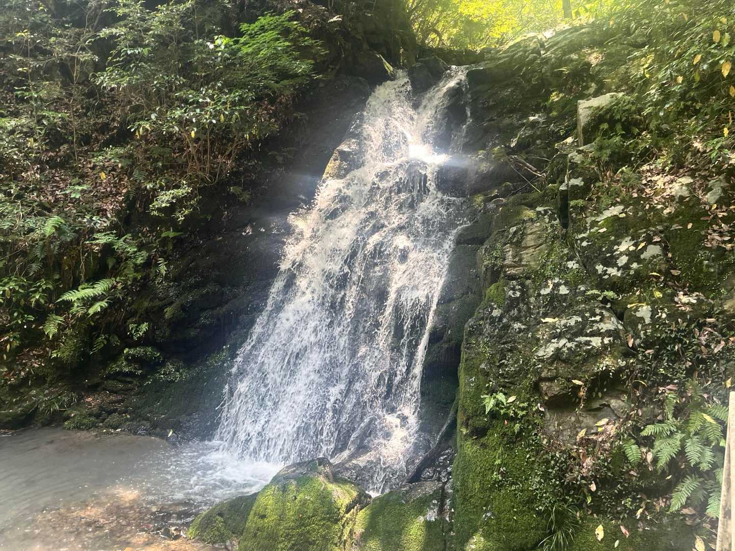 白滝に寄りました