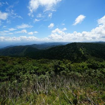 山頂からの眺望