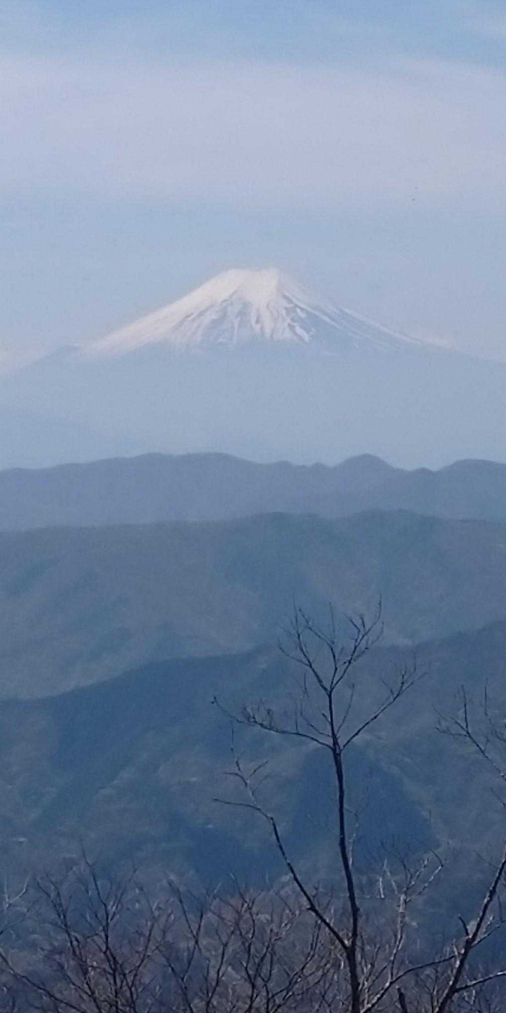 アップで♪