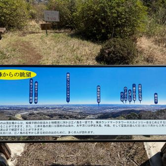 眺望で有名らしい。伊豆大島、房総半島、横浜、東京の高層ビル、筑波山まで見えるらしい🤔