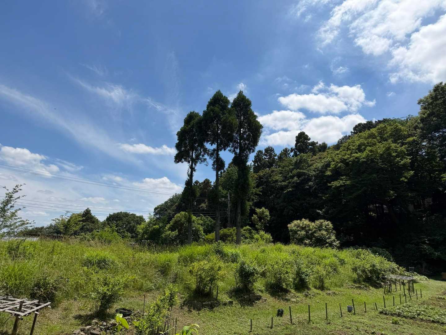 【フラット登山】巨大住宅団地　多摩ニュータウンを「縦走」するの写真