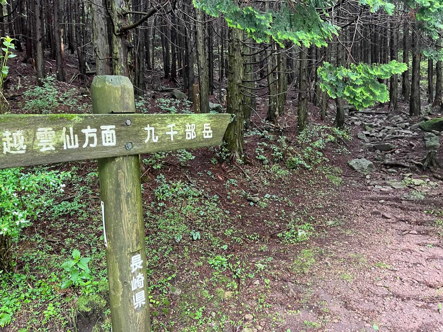 いざ！
