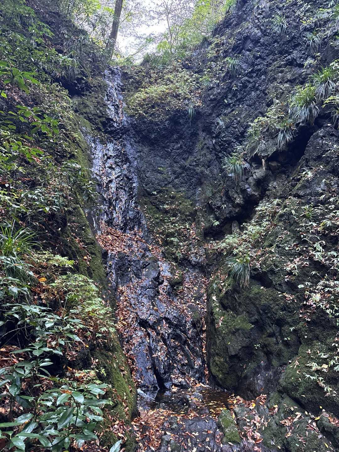 白糸の滝