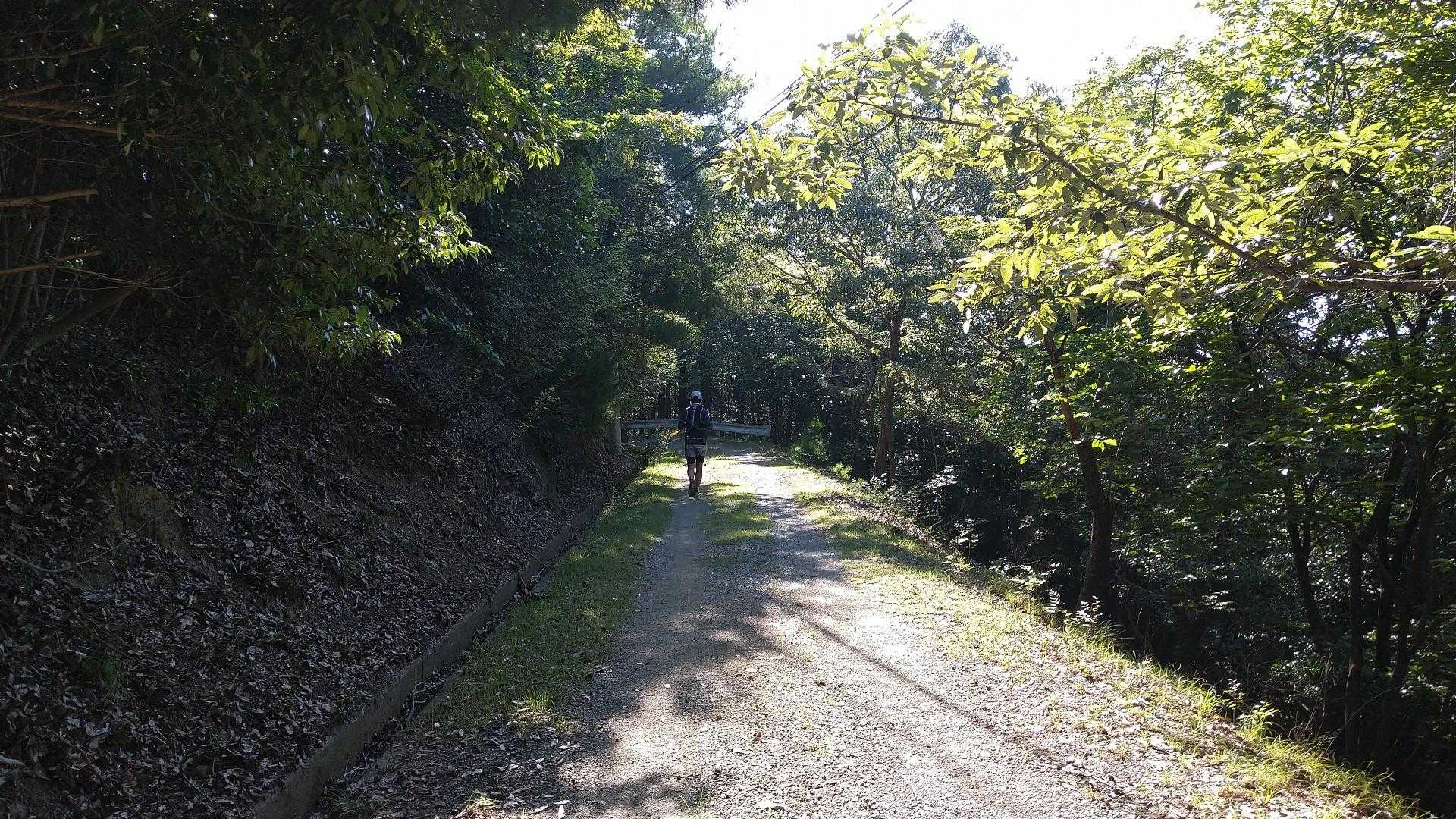 的場山 往復コースの写真