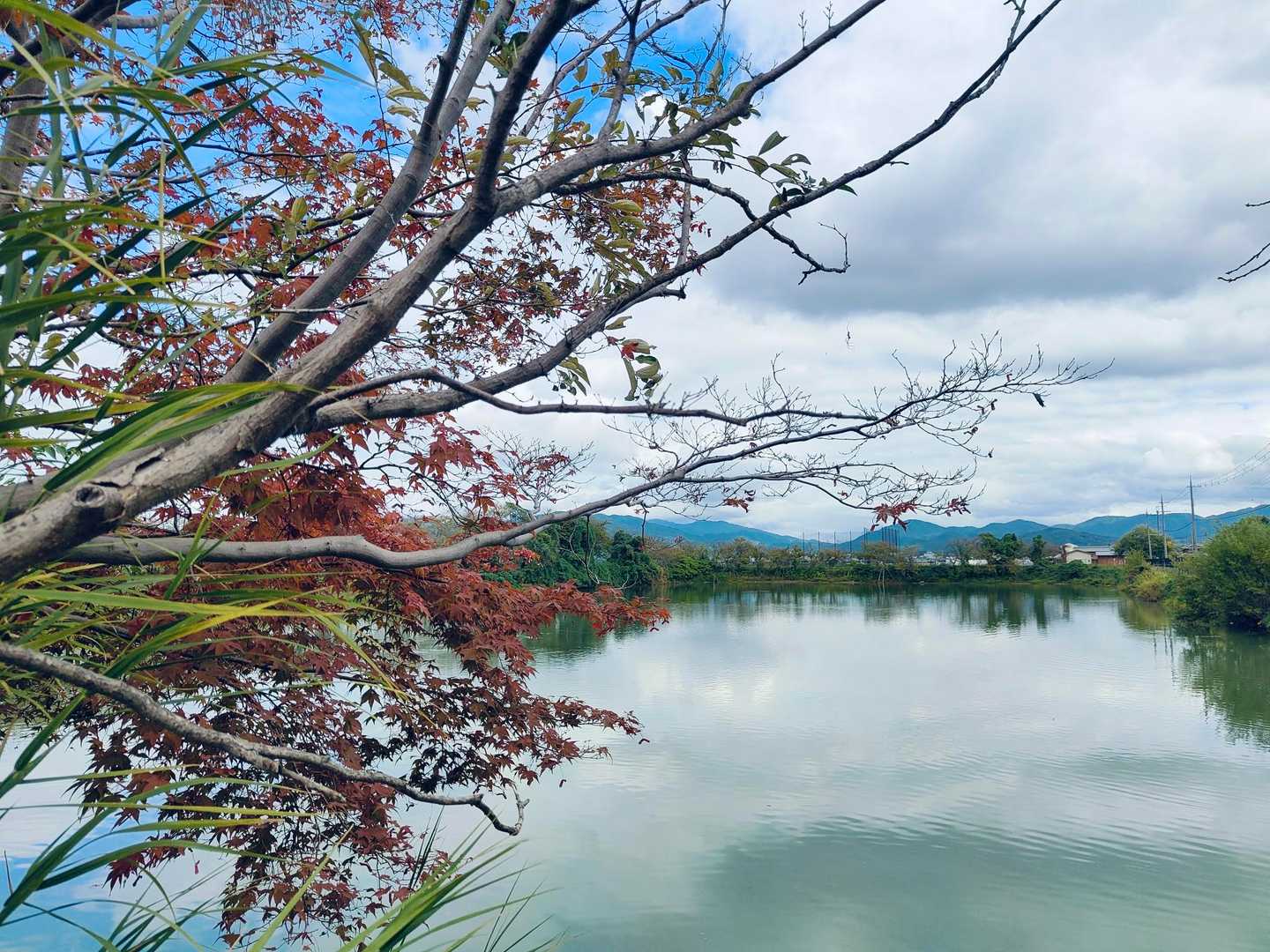 秋の気配🍁