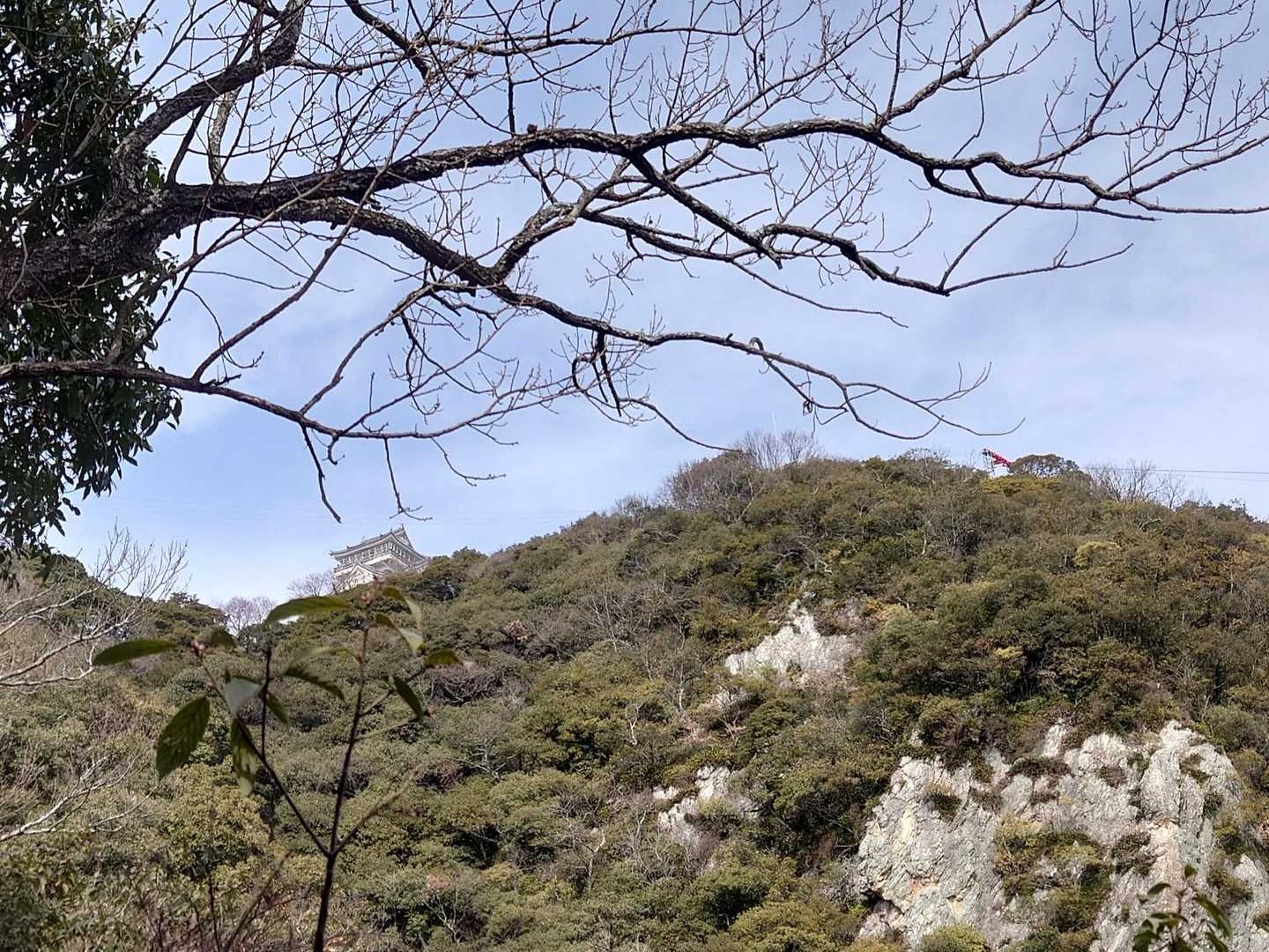 金華山 / ユーザーヤスさんの金華山・洞山・舟伏山の活動データ