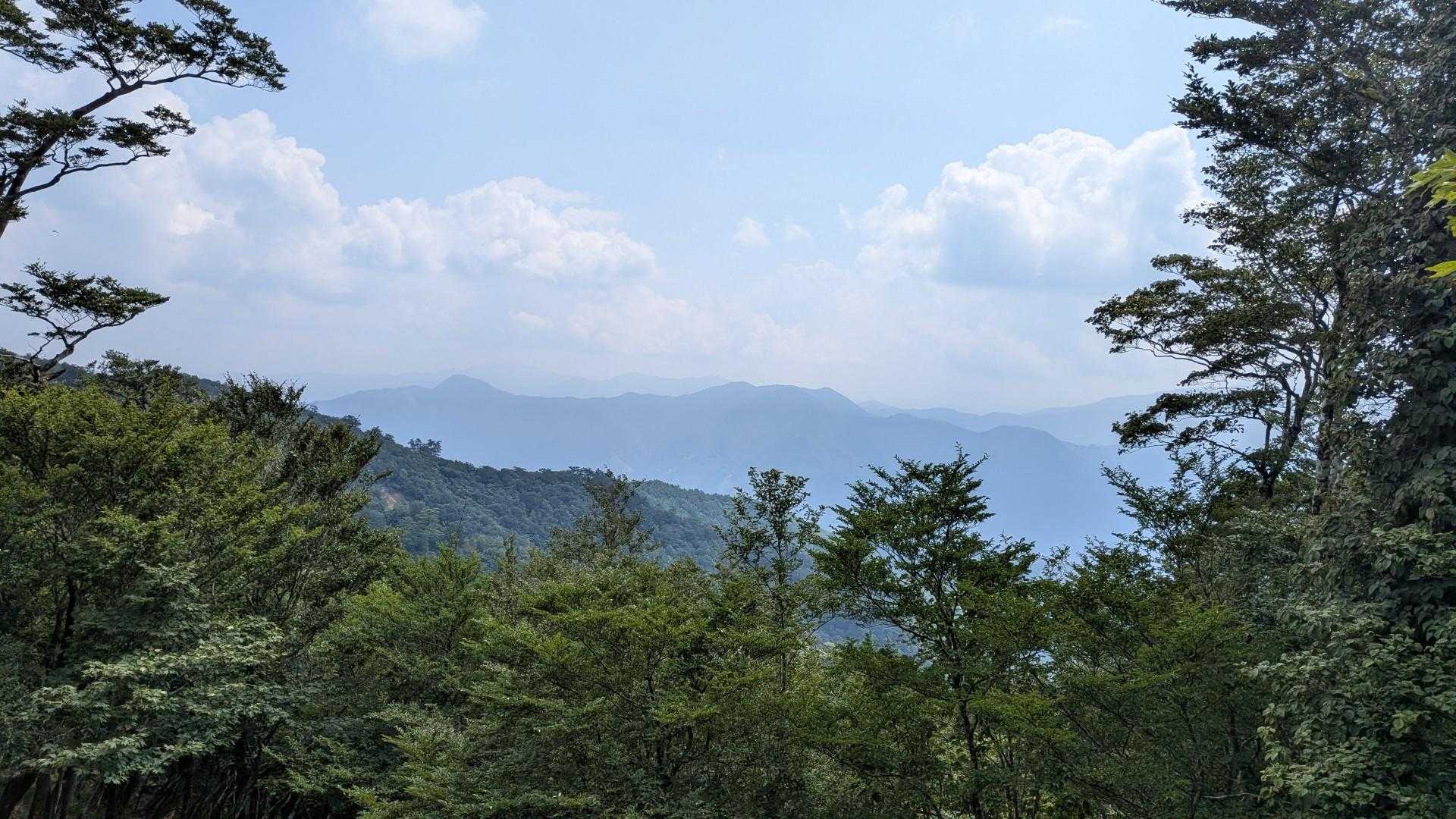小川岳 往復コースの写真