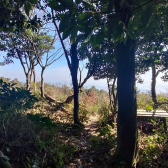 展望ポイントがある😳