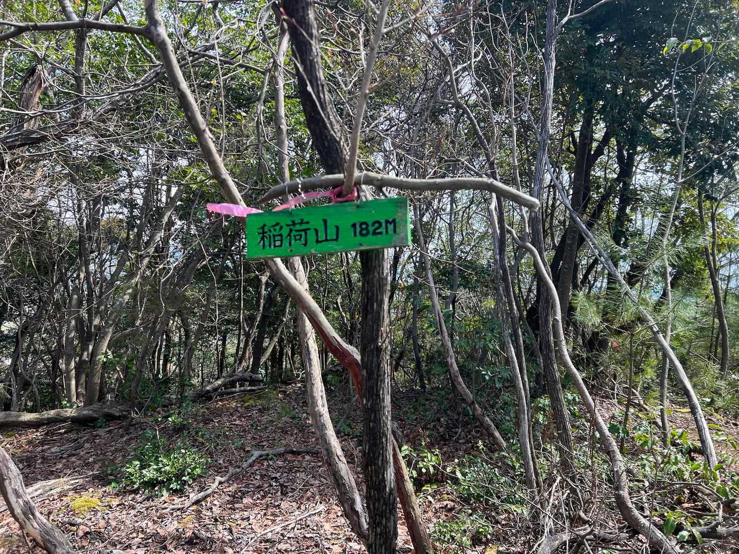 稲荷山到着