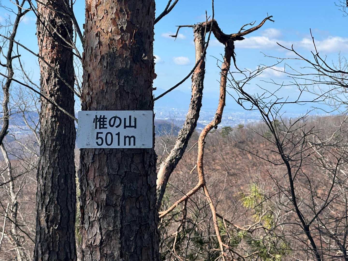 二つ目ピーク💙💙
