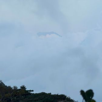 富士山🗻の頭