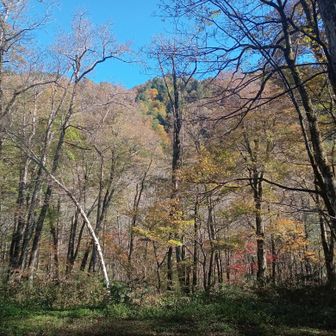 林道に戻ってきました。