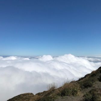 猫好きハイカー