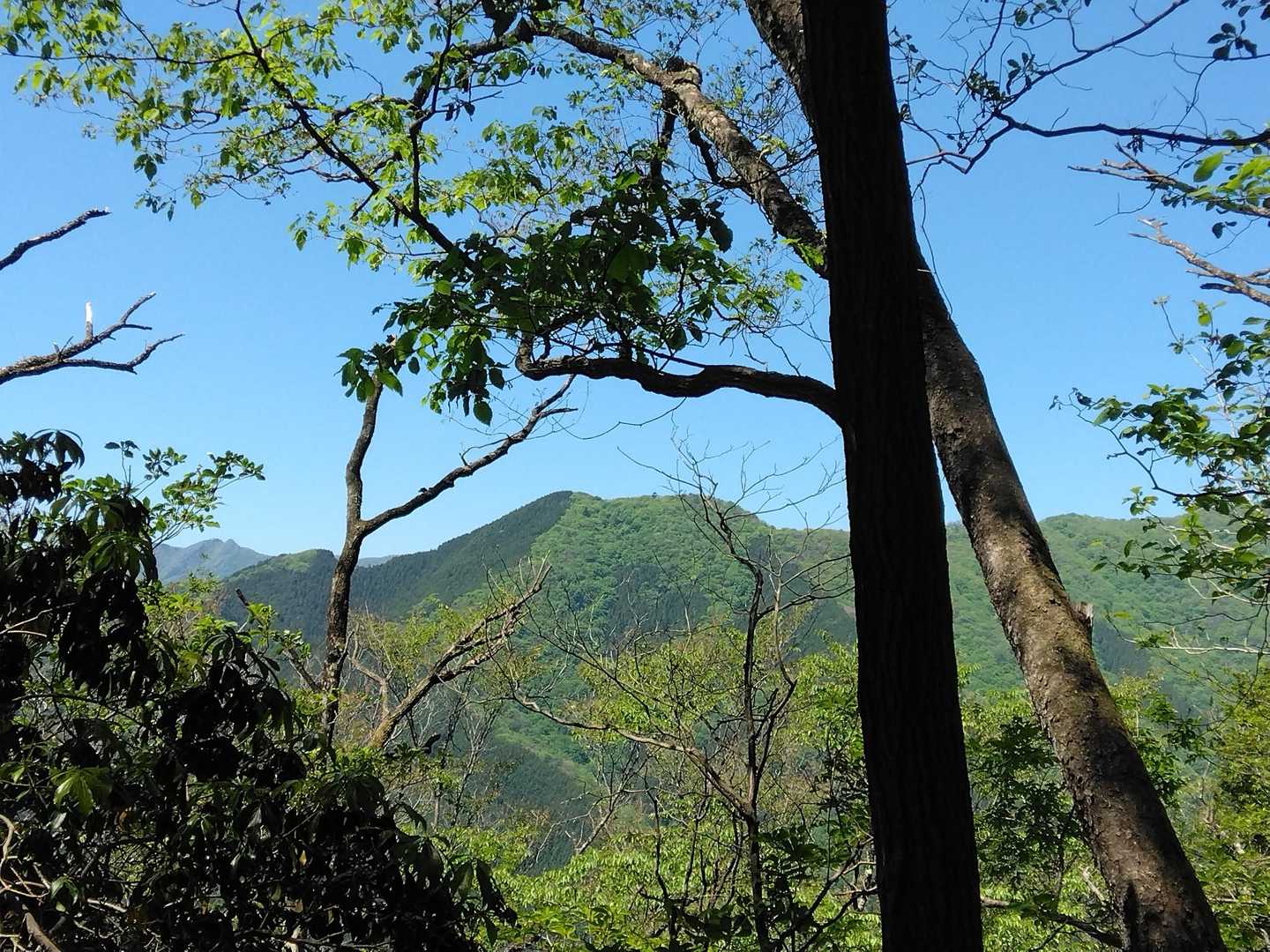 あの山は…
ウノタワからの横倉山、大持山
あたりかな🤔