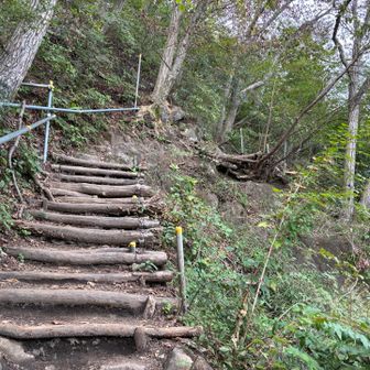 歩きやすいように整備していただいてありがとうございます🙏