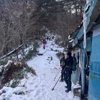 やっとここまで。やっぱりしんど🫨