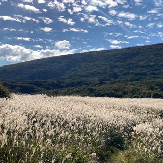 どうでしょう