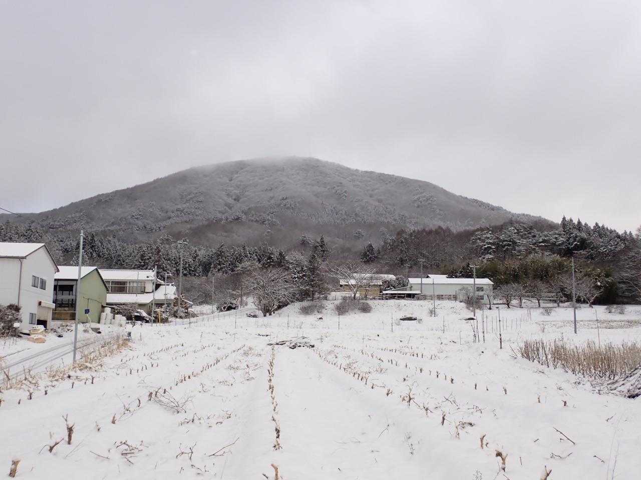 竜子山
