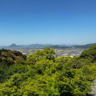 本宮からの景色