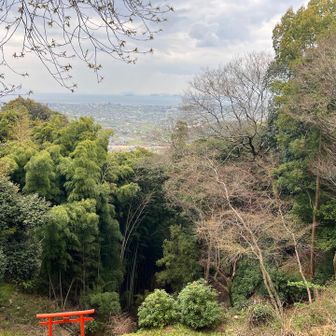 この寺からは今治市が一望