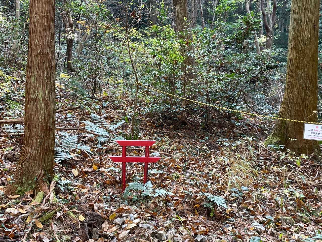 🅿️少し奥に　花摘み・雉撃ち禁止の鳥居。
キチンと管理されていますね。