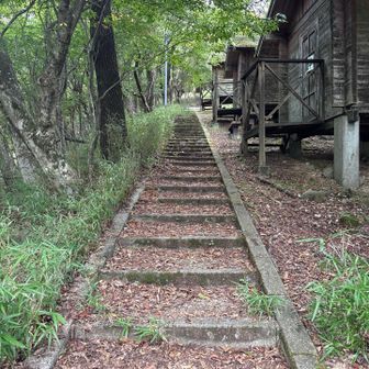今は使われていないバンガロー横の階段からスタート