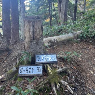 蝶ヶ岳まで3kmと書いてるけど森林限界の絶景エリアがゴールみたいなもんなので実質2km（と思いながら奮い立たせる）