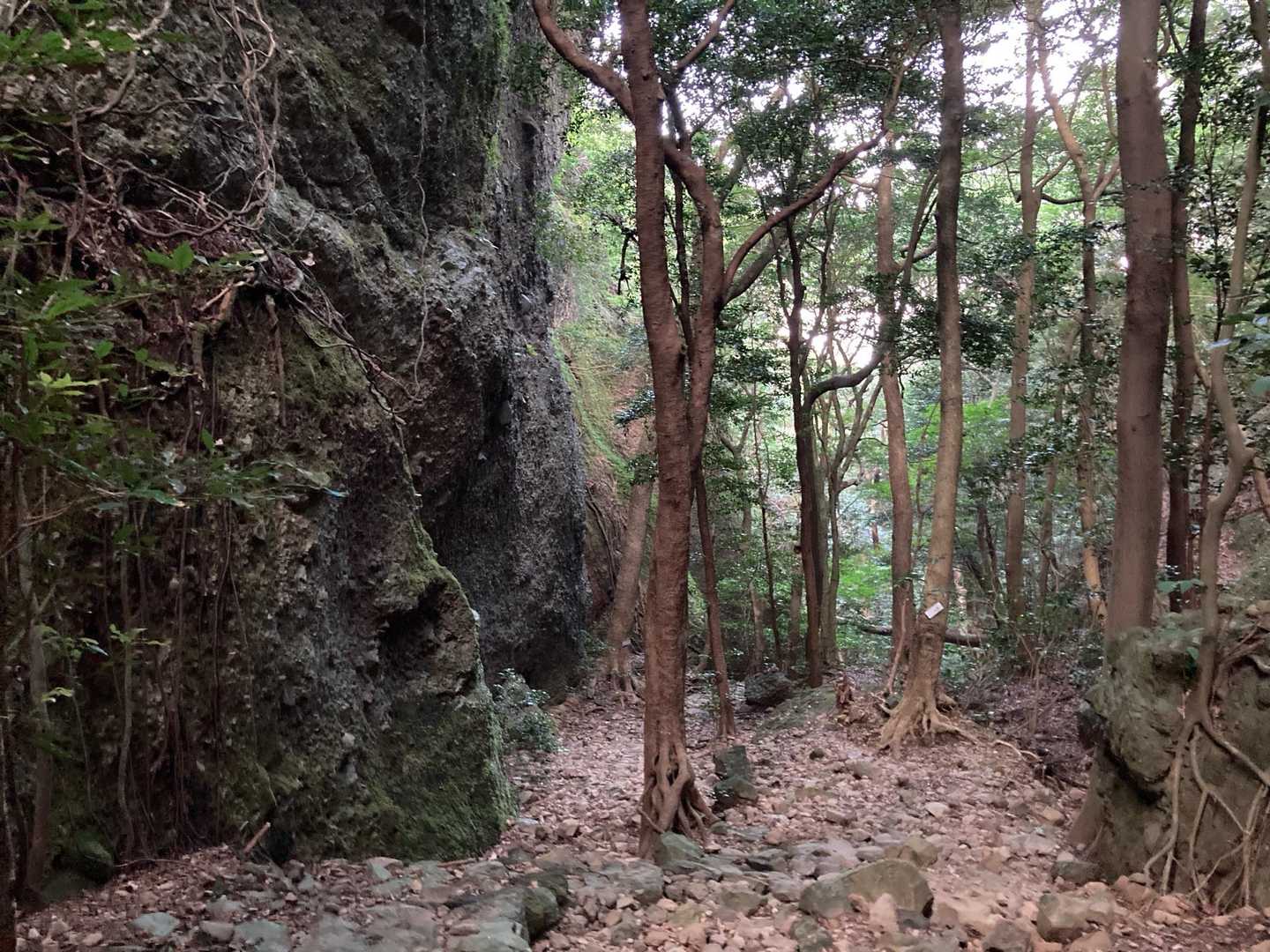最強低山の呼び声高い、スリル満点の黒髪山定番コースの写真