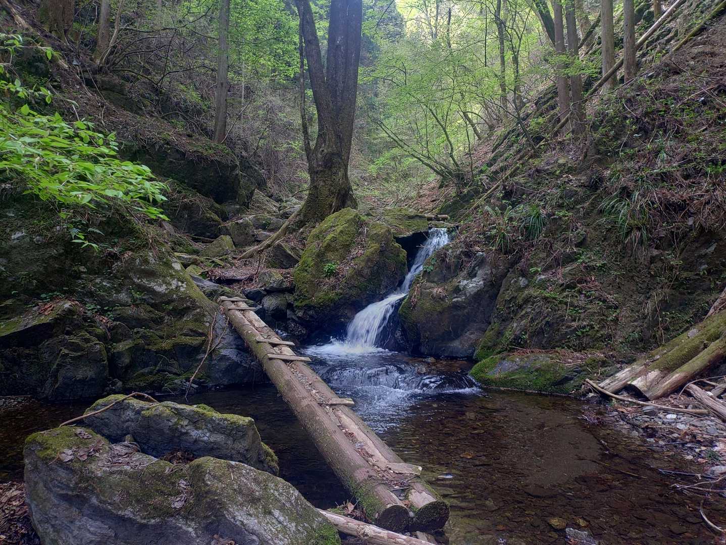 三段の滝・碧岩登山口-大岩 往復コースの写真