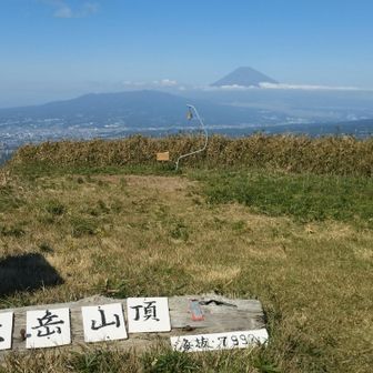 絶景です☺️写真だと…