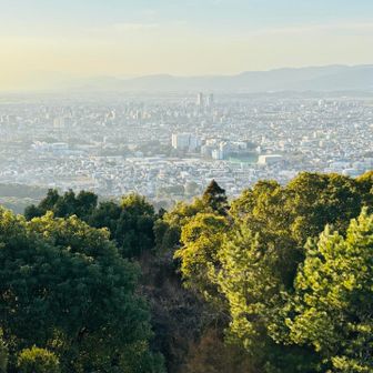 さらに左手へと視線を移します👀

本来は天山まで見えるはずですが、今日は黄砂の影響で霞んでいました😆