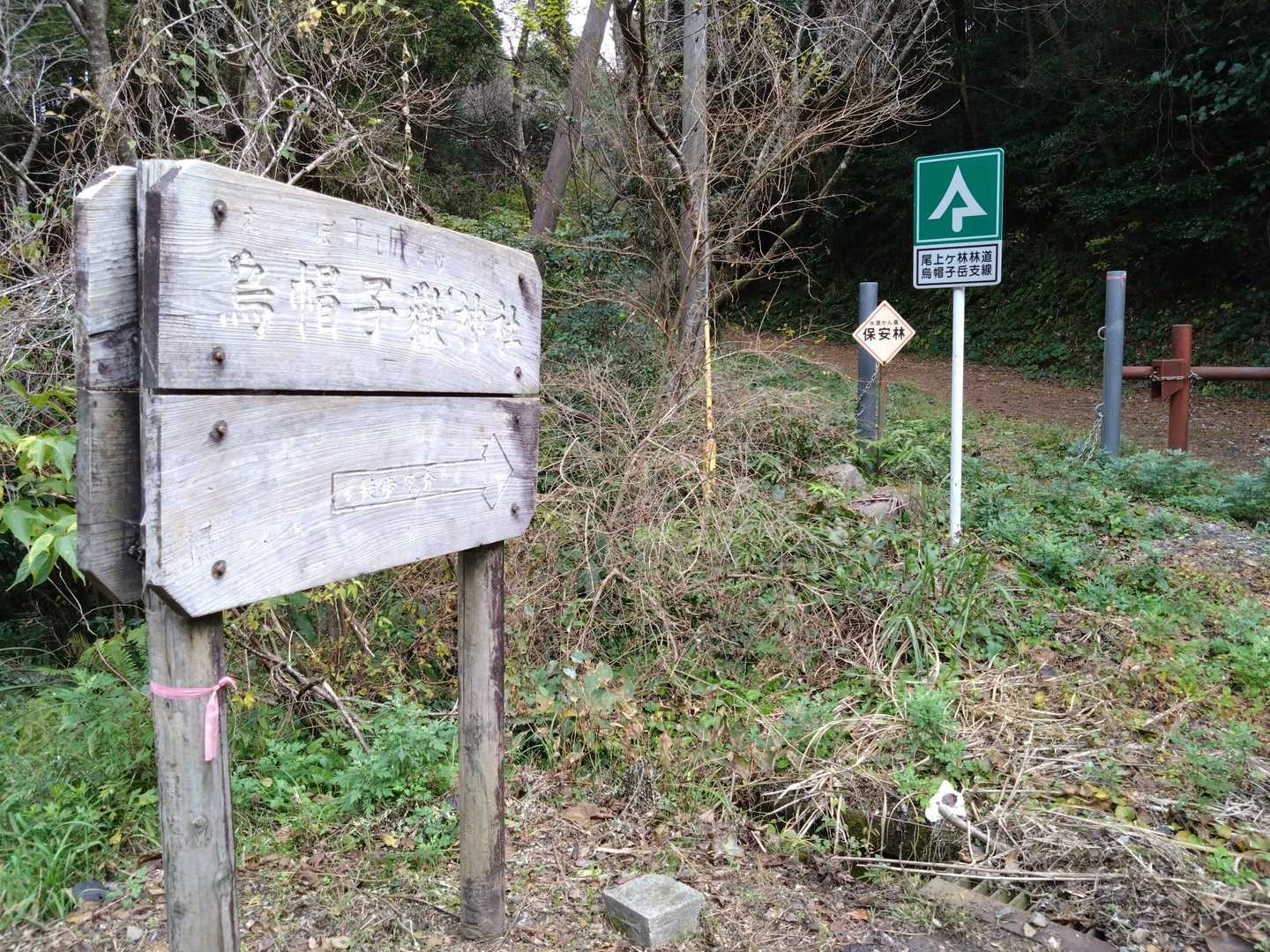 指宿スカイラインから🚗💨
この看板見逃し…🤣
だいぶUターンしてきた🚗💨
道路挟んで駐車場??あり👀